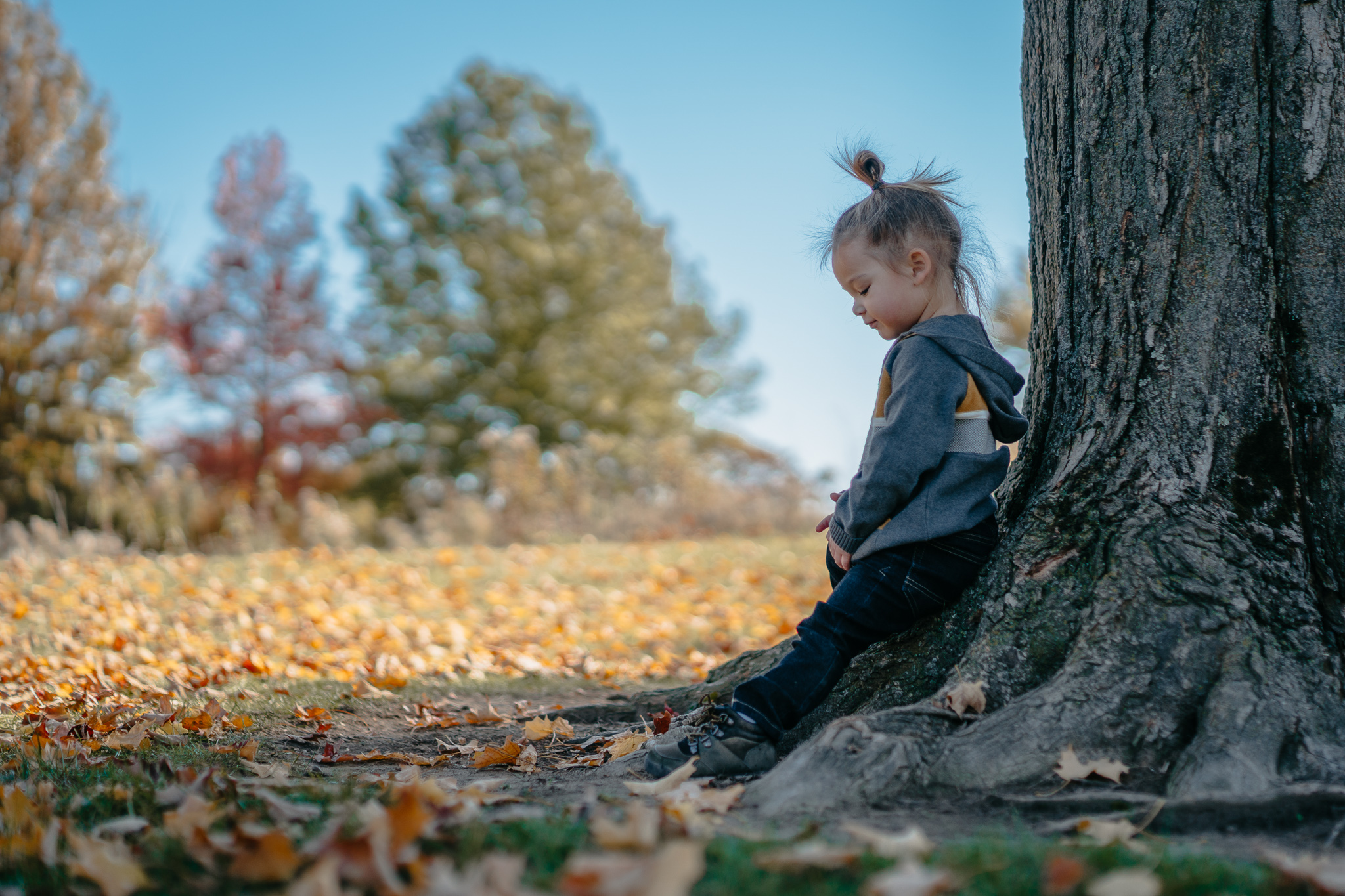 little-boy-portrait