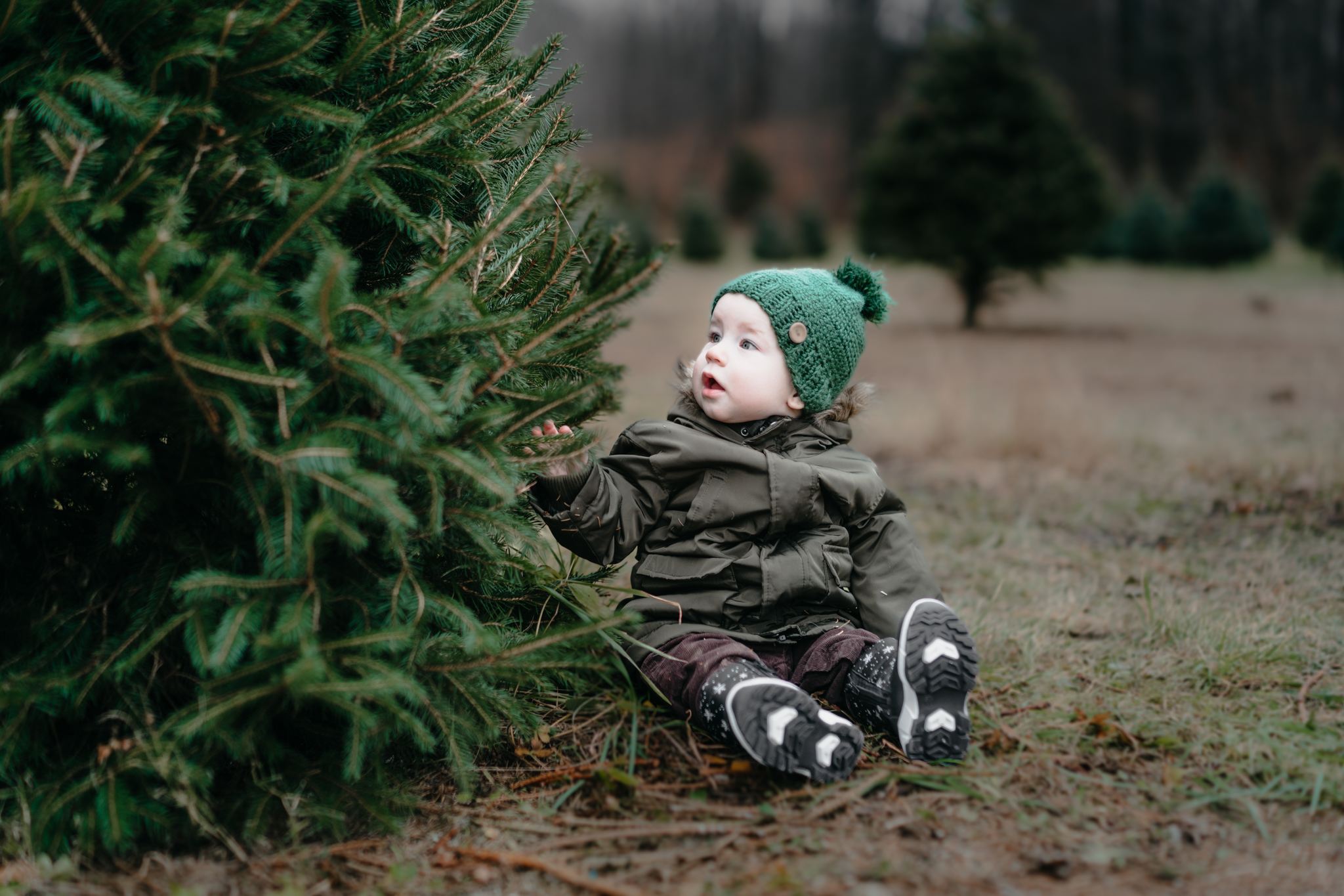 baby-christmas-tree-photography