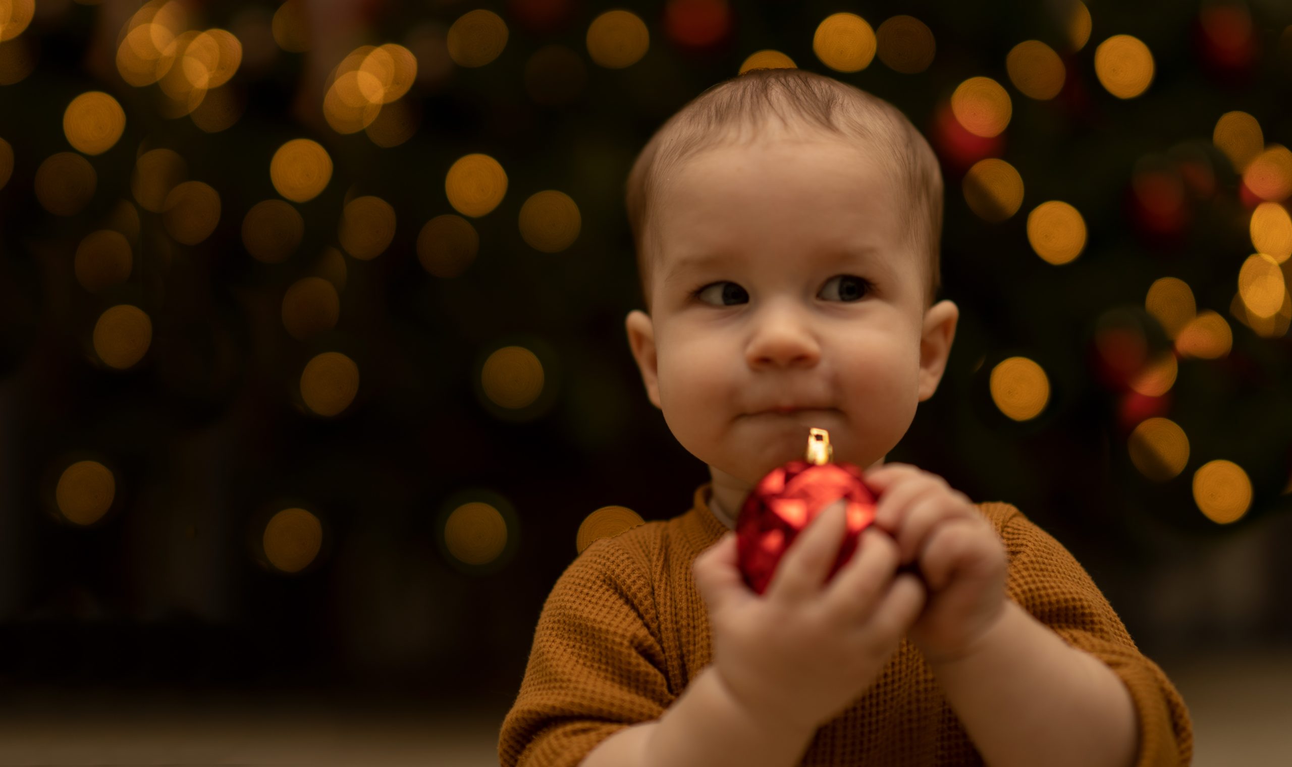 Cleveland Ohio baby photography in front of a christmas tree